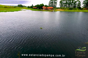 VB 4.00_01_27_19.Quadro020_263b6a9b09f97d1917f8062e0a11bd018bea42e7.jpg